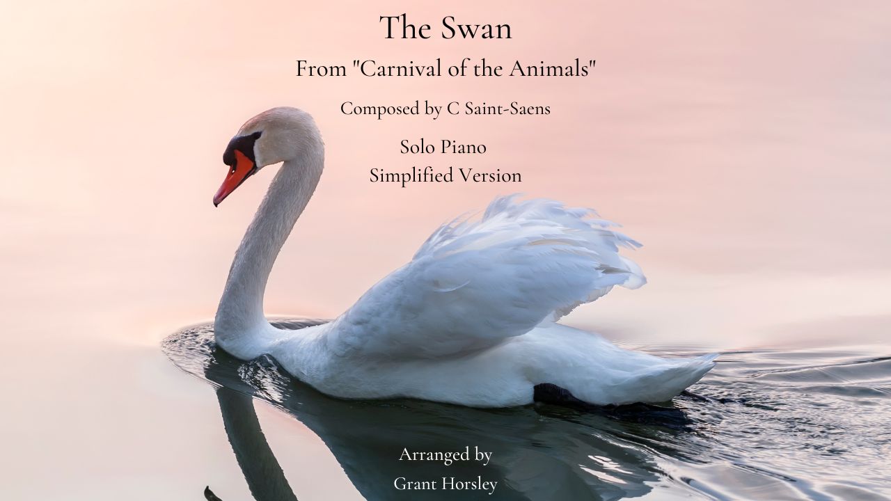 The Swan from The Carnival of the Animals Sheet music for Piano, Violin  (Solo)