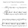 Sonata No.2 for B Flat Clarinet and Piano - Image 2