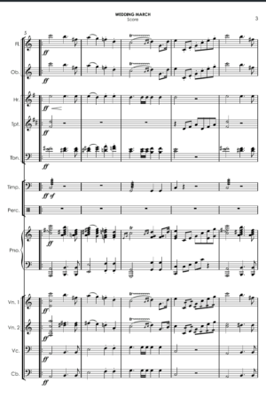 Wedding March (Mendelssohn) for chamber orch. (1)