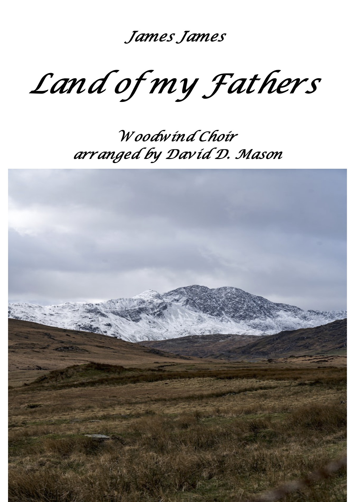 Land of my Fathers Woodwind Choir Score and parts 2