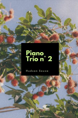 Piano Trio n° 2