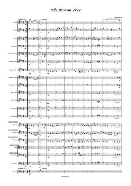 The Rowan Tree High School Orchestra Score and parts Page 1