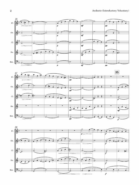 Wind Quintet Warden Andante Page 03