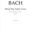 Bach: Sheep may safely graze (Schafe können sicher weiden) as played by Khatia Buniatishvili (Encore) - Image 2