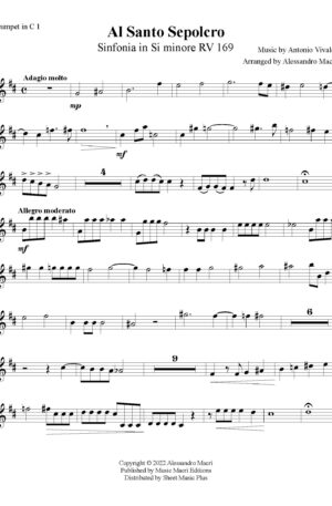 AL SANTO SEPOLCRO Sinfonia in Si minore RV 169