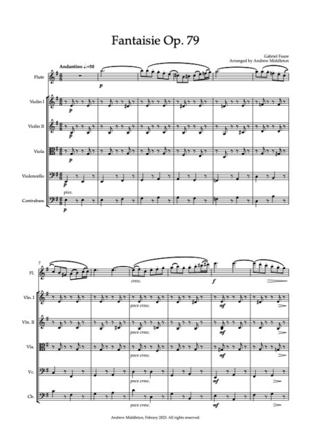 Fantaisie Op. 79 for flute and strings Full Score