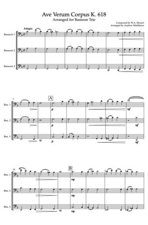 Ave Verum Corpus K. 618 arranged for Bassoon Trio