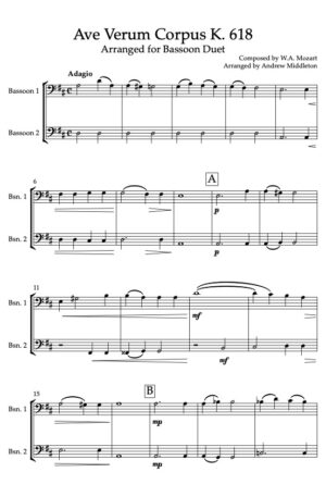 Ave Verum Corpus K. 618 arranged for Bassoon Duet