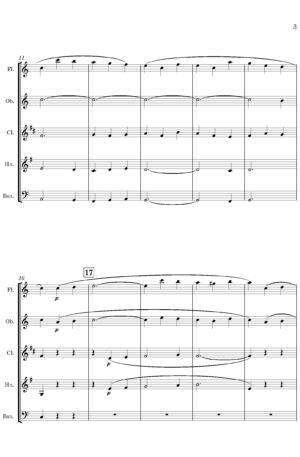 Andante Sostenuto (for Wind Quintet)