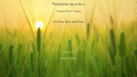 Chopin nocturne op 9 no2 flute duet yt
