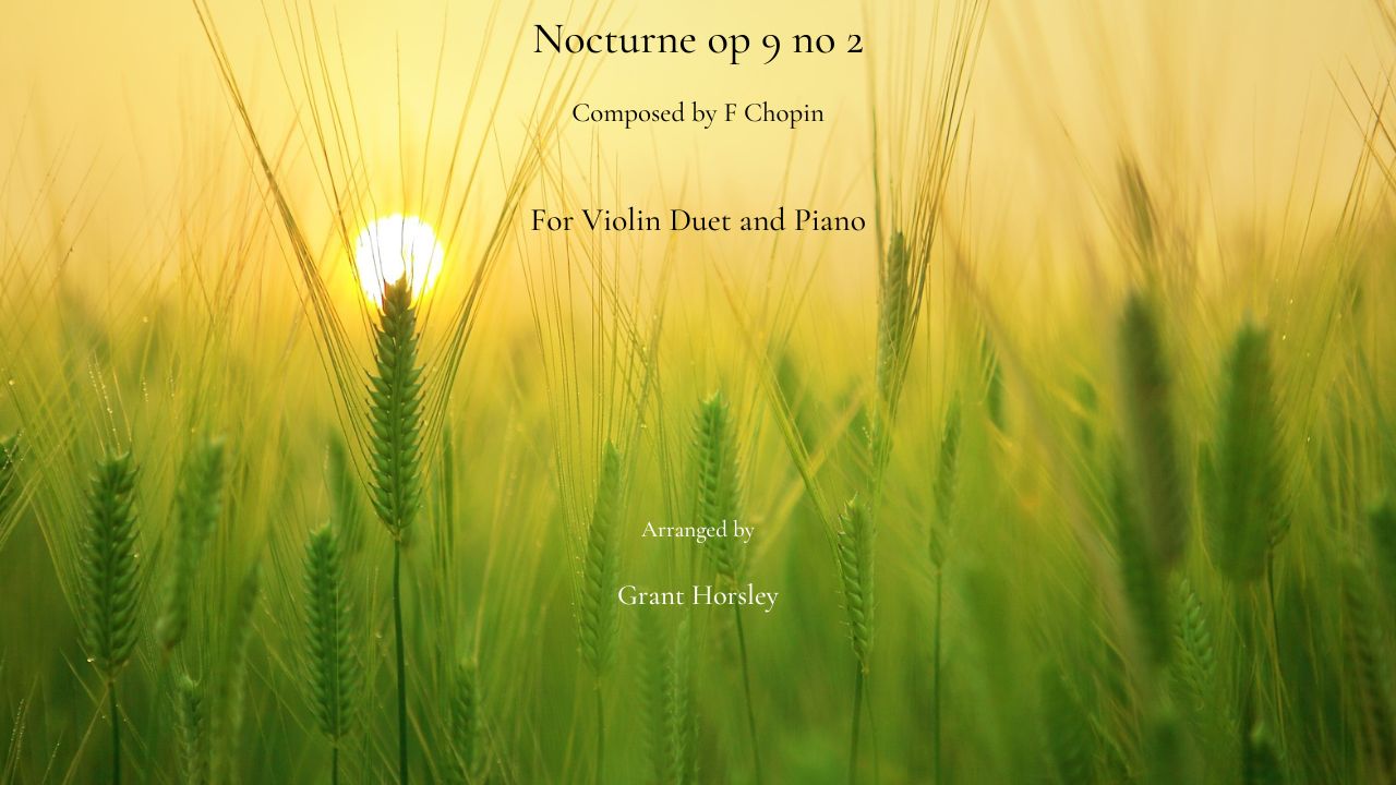 Chopin nocturne op 9 no2 Violin duet yt