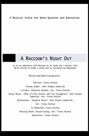 A Raccoon’s Night Out