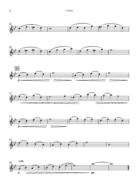 1. Flute Page 2 1