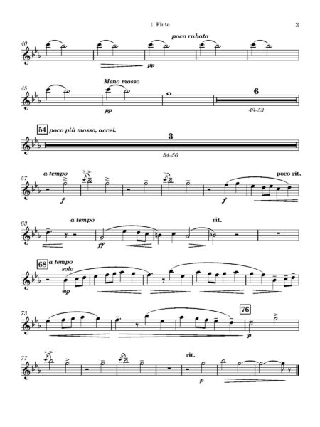 WQ Darcieux Noel Bressan 1. Flute Page 3 1