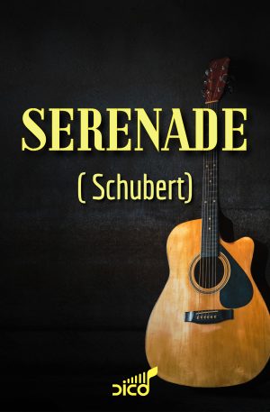 SERENADE D. 957/2