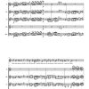 Winterreise arranged for Voice and Wind Quintet - Image 3
