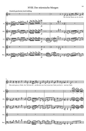 Winterreise arranged for Voice and Wind Quintet