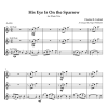 His Eye Is On the Sparrow, for Flute Trio