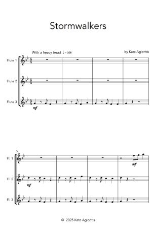 Stormwalkers | Flute Trio