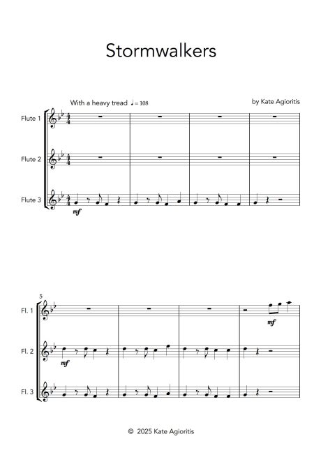 Stormwalkers | Flute Trio