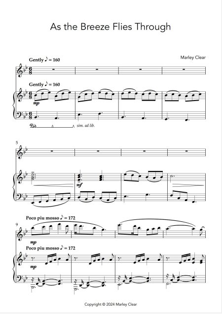 As the Breeze Flies Through - Solo for Flute and Piano - Image 2