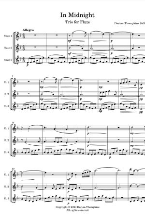 In Midnight | For Flute Trio