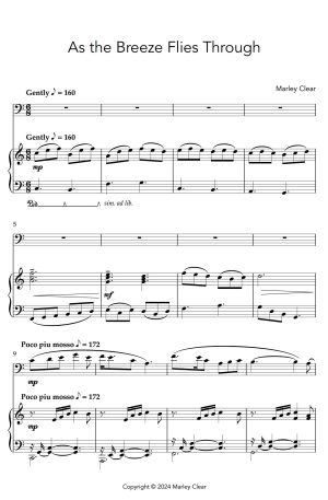 As the Breeze Flies Through – Solo for Cello and Piano