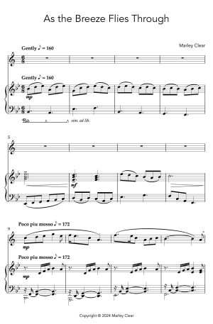 As the Breeze Flies Through – Solo for Clarinet and Piano