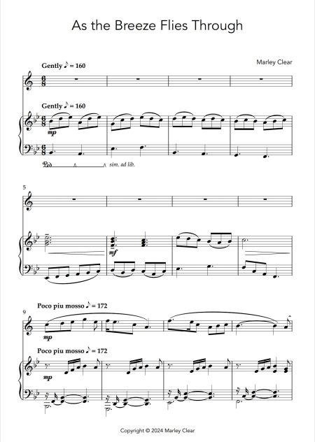 As the Breeze Flies Through - Solo for Clarinet and Piano - Image 2