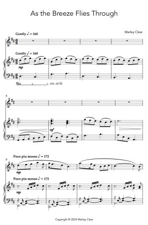 As the Breeze Flies Through | Solo for Violin and Piano