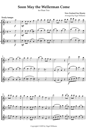 Soon May the Wellerman Come, for Flute Trio