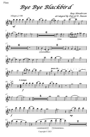 Bye Bye Blackbird – Chamber Orchestra