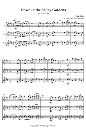 Down in the Salley Gardens, for Flute Trio