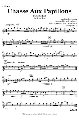 Adolphe Danhauser | Butterfly Hunt | for Flute Trio