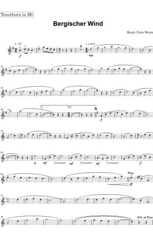 Bergischer Wind / Lively Waltz for Concert Band