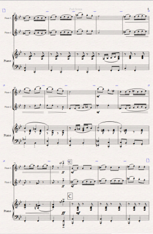 Circus Polka for Flute Duet and Piano.