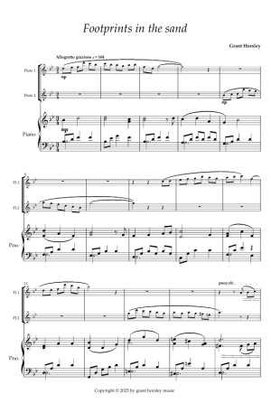 Footprints in the sand. For Flute Duet and Piano.