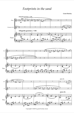 Footprints in the sand. For Flute, Clarinet and Piano.