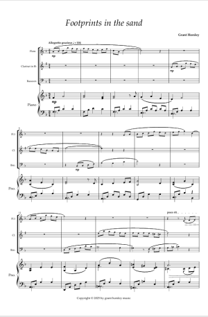 Footprints in the sand. For Wind Trio and Piano. (Flute, Clarinet Bassoon)