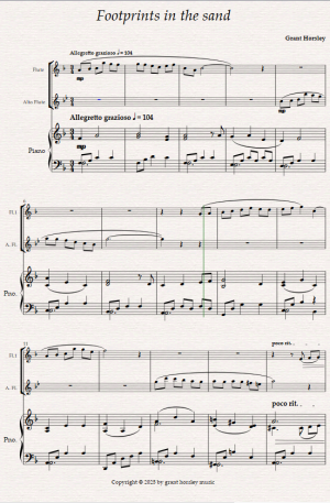 Footprints in the sand. For Flute, Alto Flute and Piano