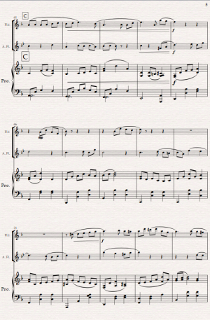 Footprints in the sand. For Flute, Alto Flute and Piano