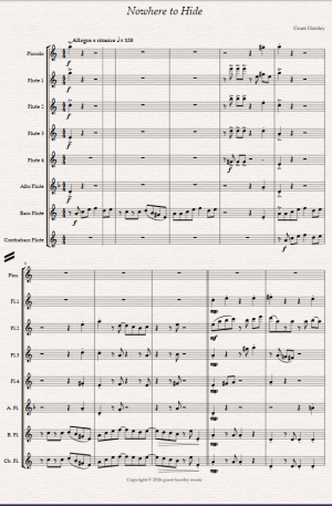 Nowhere to Hide. For Flute Choir.