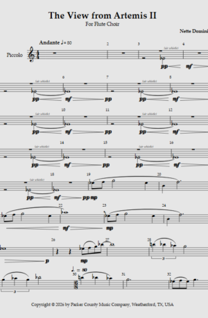 The View from Artemis 2, for Flute Choir