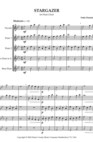 Stargazer, for Flute Choir