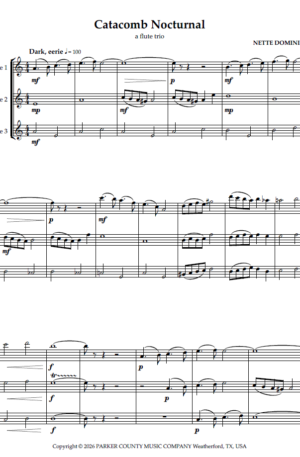 Catacomb Nocturnal, a flute trio