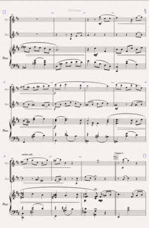 Night- Time in New York. For Flute Duet and Piano.
