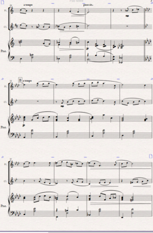 Night- Time in New York. For Flute, Clarinet and Piano.