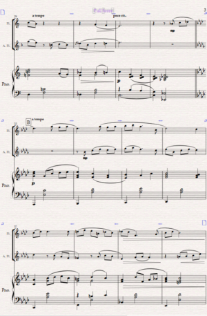 Night- Time in New York. For Flute, Alto Flute and Piano.