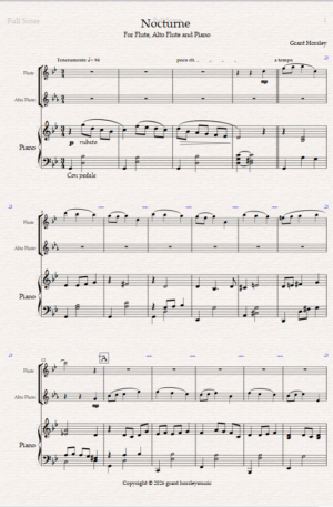 Home Nocturne. For Flute, Alto Flute and Piano.