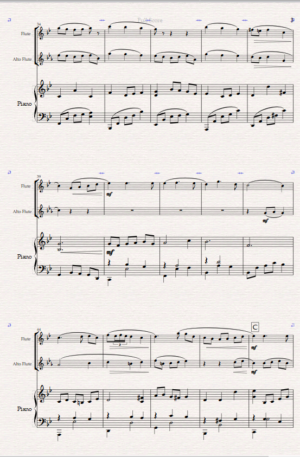Home Nocturne. For Flute, Alto Flute and Piano.